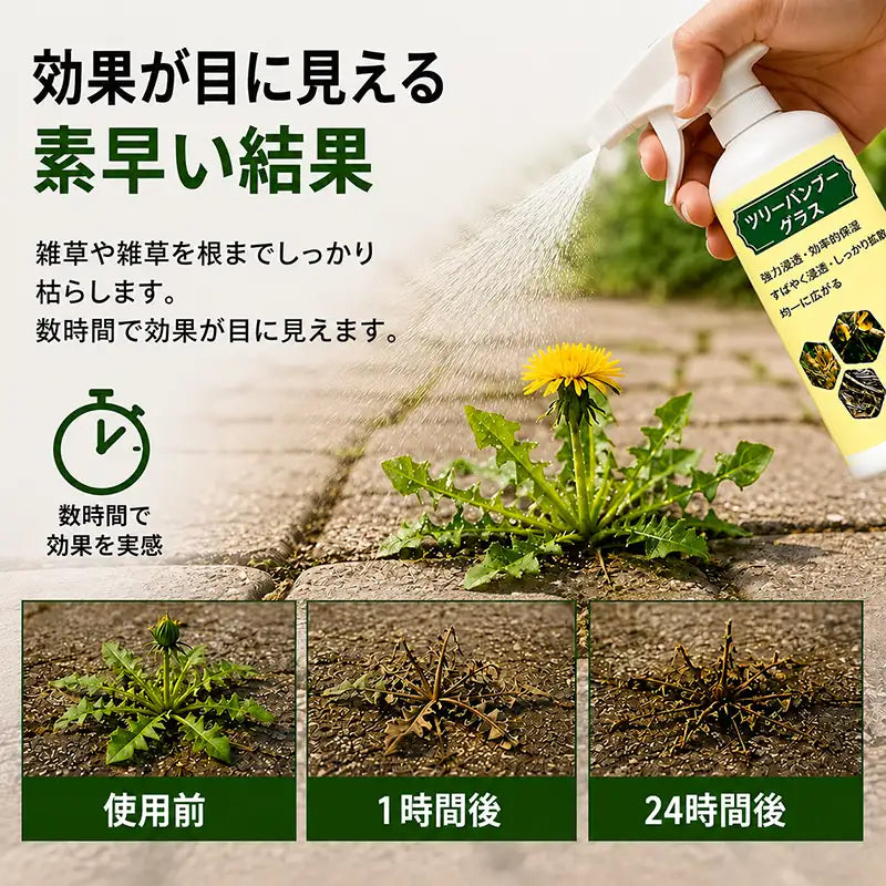 🔥 2026年セール – 速効性 天然除草スプレー
