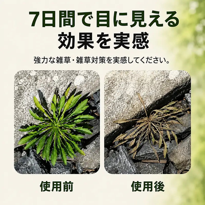 🔥 2026年セール – 速効性 天然除草スプレー