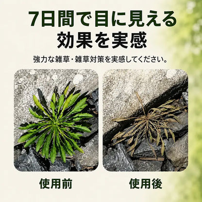 🔥 2026年セール – 速効性 天然除草スプレー